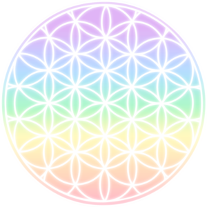 每日正能量会员